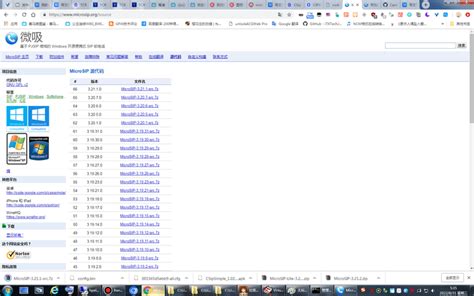 Microsip Tutorial 的图像结果