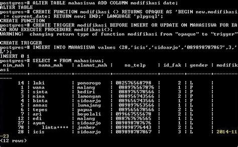 Image result for PL/pgSQL Trigger