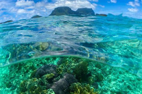 Surface Level Diversity: Why You Need to Dig Deeper - AllyBot Blog