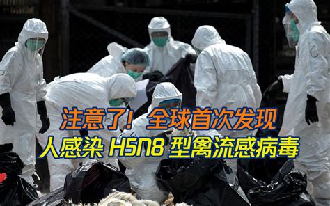 H7N9禽流感的发病症状-百度经验