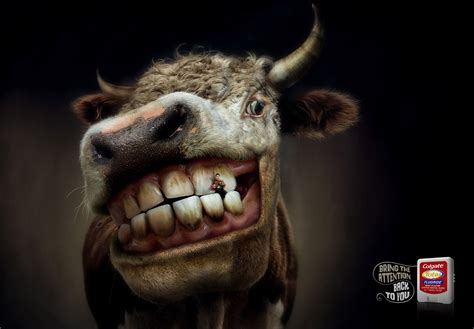 Image result for Close Up Colgate Poster