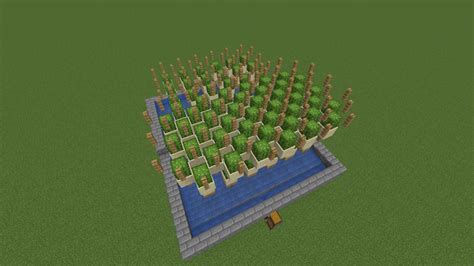 Image result for Cactus Farm Minecraft Java