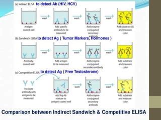 Image result for Competitive ELISA Protocol