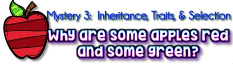 Mystery Science Lessons Today 的图像结果