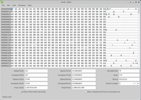 Image result for Linux Hex Editor Structures