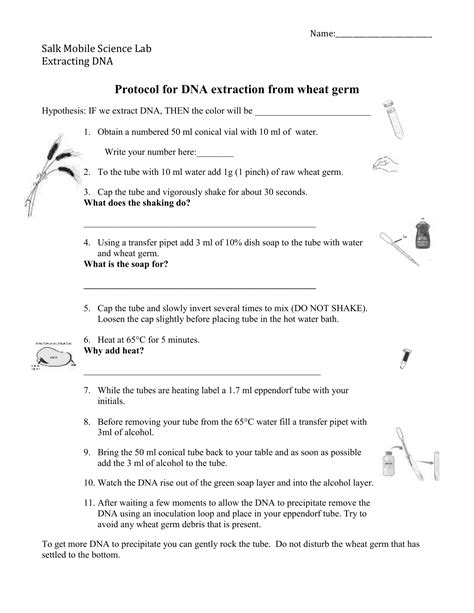 Image result for How DNA Testing Works