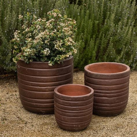 Buy Ribbed terracotta egg pot - burnt: Delivery by Waitrose Garden