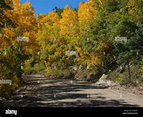 Bill Williams Mountain in the Williams Ranger District of Kaibab ...