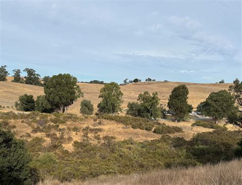 Pearson-Arastradero Preserve - City of Palo Alto, CA