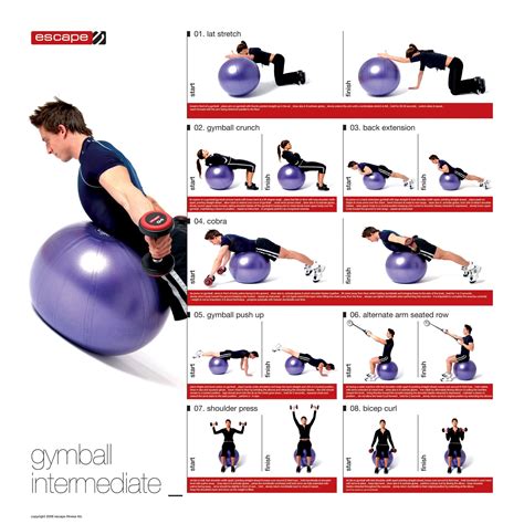 Image result for Stability Ball Workouts