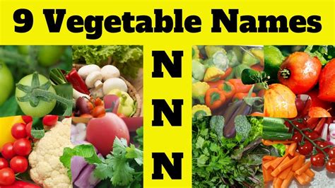 Vegetable Name Vocabulary | 9 Vegetable Names Starting with 'N ...
