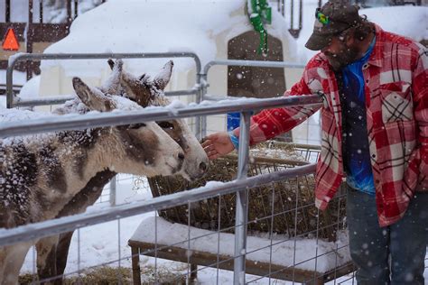 A Magical Christmas Adventure - Varysburg, NY - Hidden Valley Animal ...
