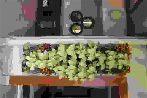 15 ideas to beautify of the entrance and terrace of a 3BHK flat in Pune ...