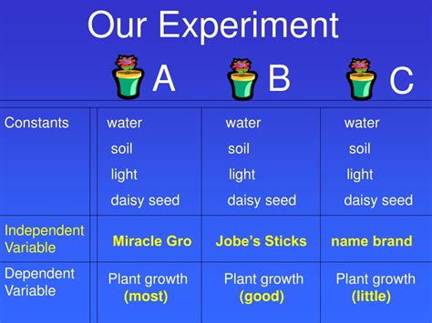 Variables Explained 的图像结果