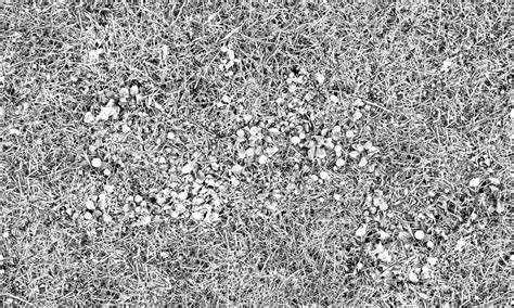 Green grass with mushrooms texture seamless 19278