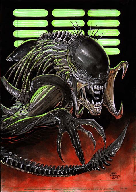 Image result for How to Draw the Predalien