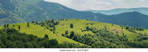 Human Impact On the Environment 的图像结果