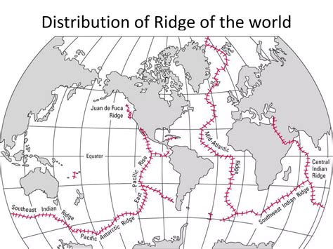 Sea Floor 的图像结果