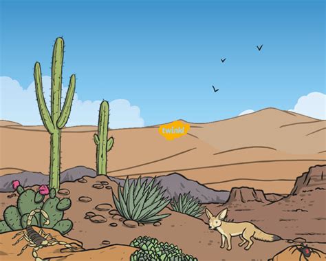 Plante din deșert - Wiki Page | Twinkl România - Twinkl