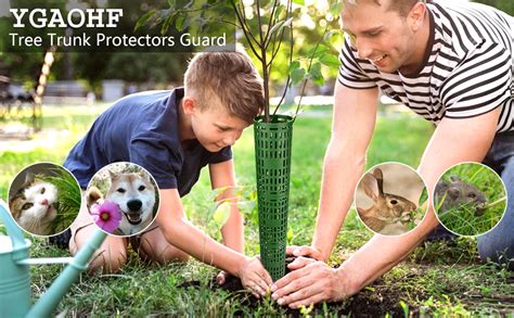 Rezultat imagine pentru Homemade Tree Trunk Protector