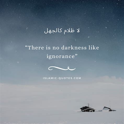 Quotes About Ignorance