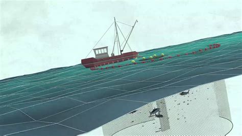 Fisheries 的图像结果