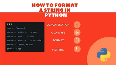 Image result for How to Write in Python Code Format