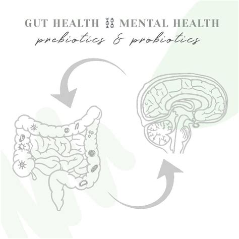holistic health in spanish