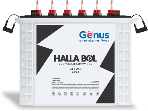 V-Guard Vt200 200Ah Tall Tubular Inverter Battery : Amazon.in: Home ...