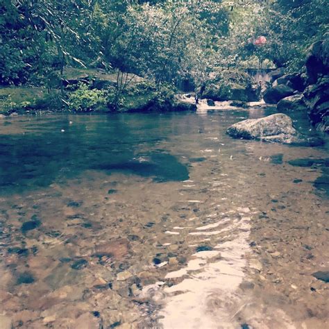 RAVINE HOUSE (Gangneung) - Lodging Reviews, Photos, Rate Comparison ...