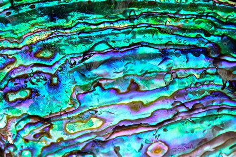 Mother of Pearl Artwork by FallOut99 on deviantART