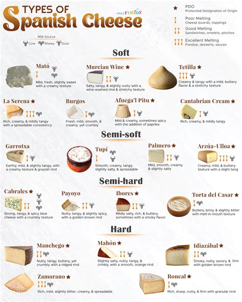 List of the Different Types of Spanish Cheese (With Pictures) - examples of unprocessed cheese
