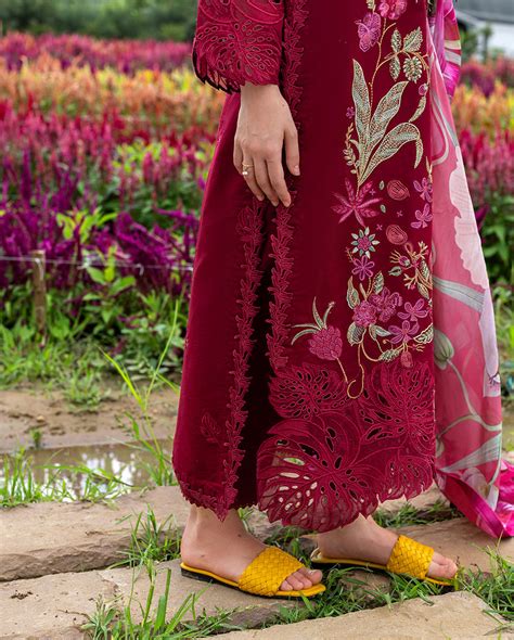 Aurora Petals – Nour