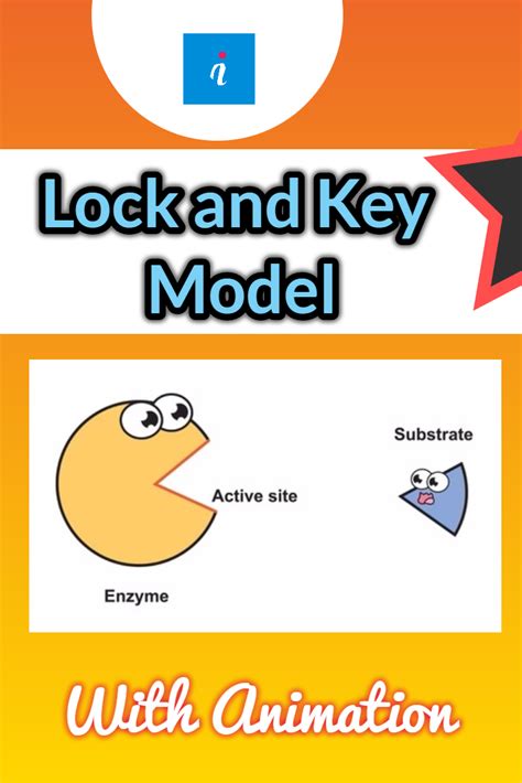 Function Key Model 的图像结果