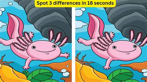 Spot the difference: Are you smart enough to spot 3 differences in the ...