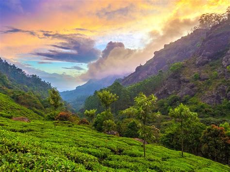 Bing Wallpaper India 的图像结果