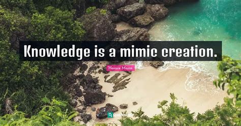 Mimic Knowledge Graph 的图像结果