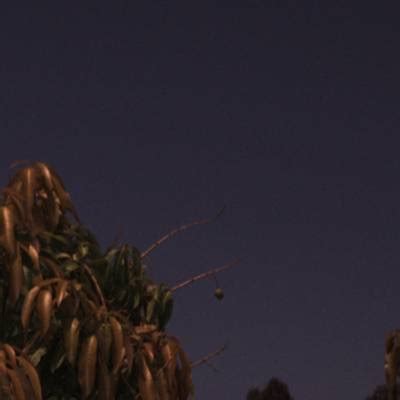 ACFR - Dataset Ninja