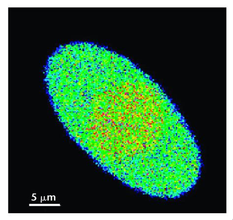 Cladding of Fiber 的图像结果