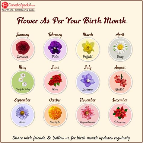 Birth Month Flowers Chart - Birth Month Flowers - BDNE