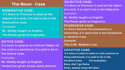 The Noun - Case - The Noun - School Lead