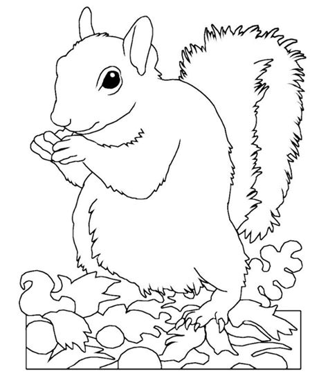 Image result for Squirrel Flight Sim Tutorials No. 9