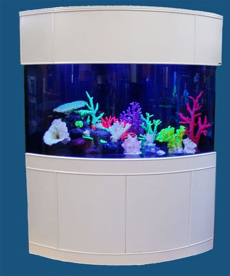 Corner Fish Tanks - Chitos Aquairium Fish