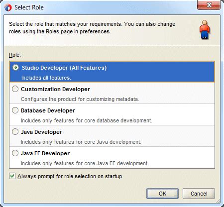 Image result for Oracle Java Developer 6