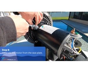 Image result for Replace Motor On Sta-Rite Pool Pump