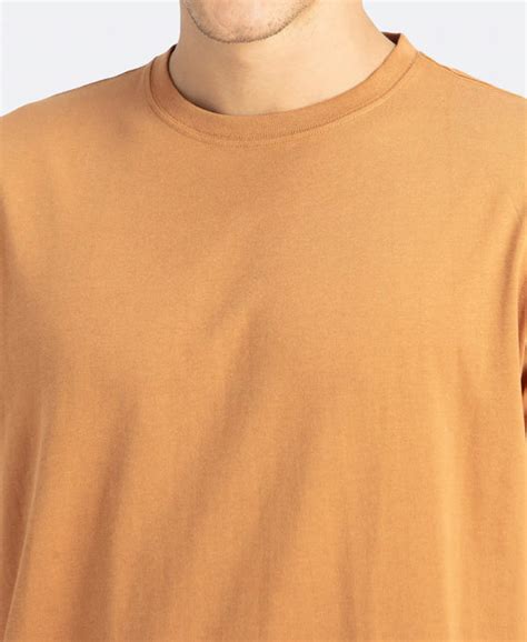 Buy Super Combed Cotton Rich Round Neck Half Sleeve T-Shirt - Brown ...
