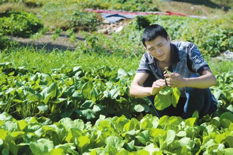 3月份，10种蔬菜可以种植，易存活，5-6月收获，菜农们别错过_腾讯新闻