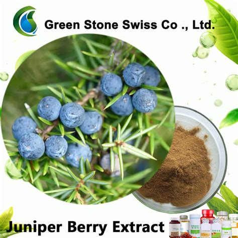 Image result for Making Juniper Berry Powder