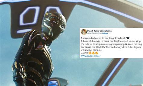 'Black Panther: Wakanda Forever' Twitter Review; Fans Call It Perfect ...