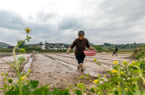 谷雨将至农事忙_图片新闻_中国政府网